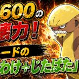 ホルード育成論｜ポケモンチャンピオンズ
