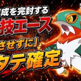 ルチャブル育成論｜ポケモンチャンピオンズ