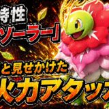 メガメガニウム育成論｜ポケモンチャンピオンズ