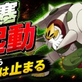 メガブリガロン育成論｜ポケモンチャンピオンズ